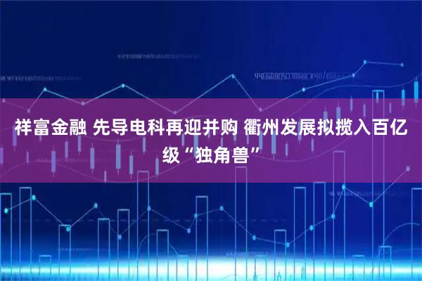 祥富金融 先导电科再迎并购 衢州发展拟揽入百亿级“独角兽”