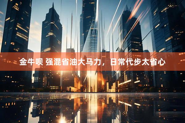 金牛呗 强混省油大马力，日常代步太省心